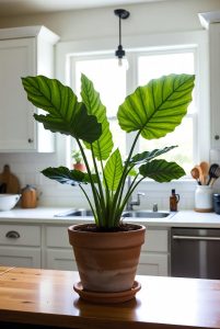 تصویری از یک گلدان در اشپزخانه